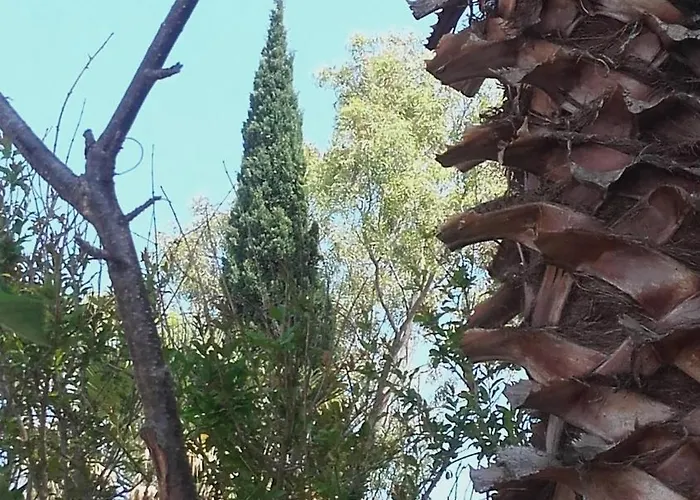 With Garden Appartamento